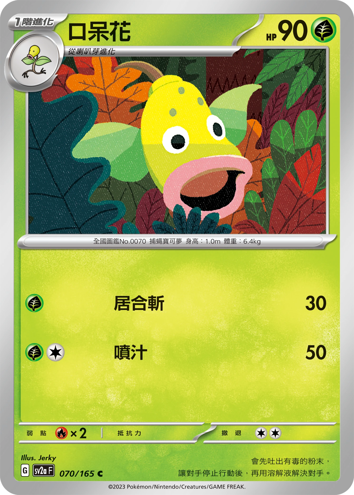 口呆花