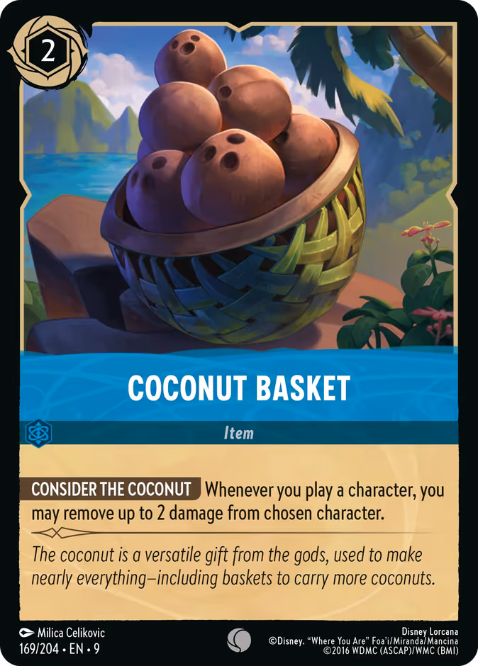 Coconut Basket 169