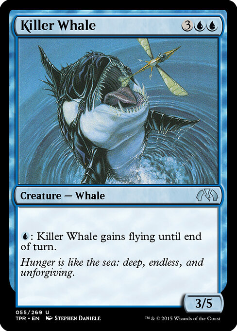 Killer Whale 55