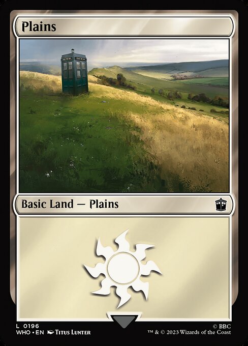 Plains 196