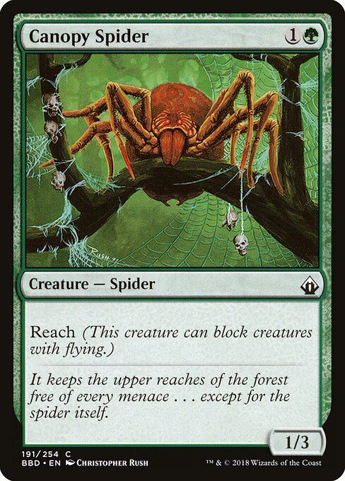 Canopy Spider 191