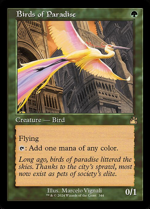 Birds of Paradise 344