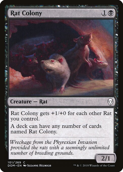 Rat Colony 101