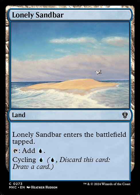 Lonely Sandbar 273
