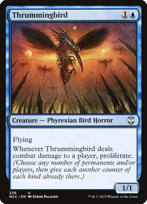 Thrummingbird 236