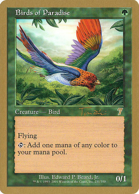 Birds of Paradise jt231