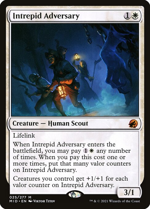 Intrepid Adversary 25