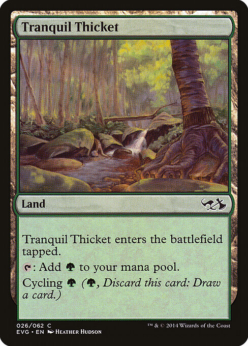 Tranquil Thicket 26