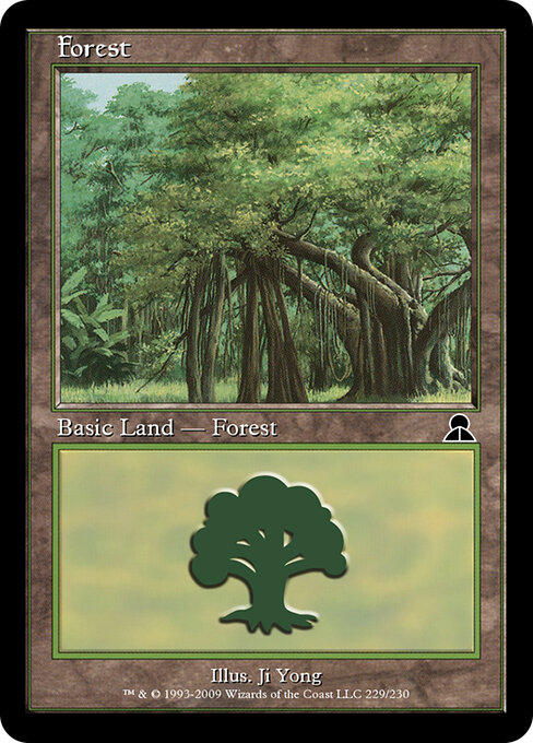 Forest 229