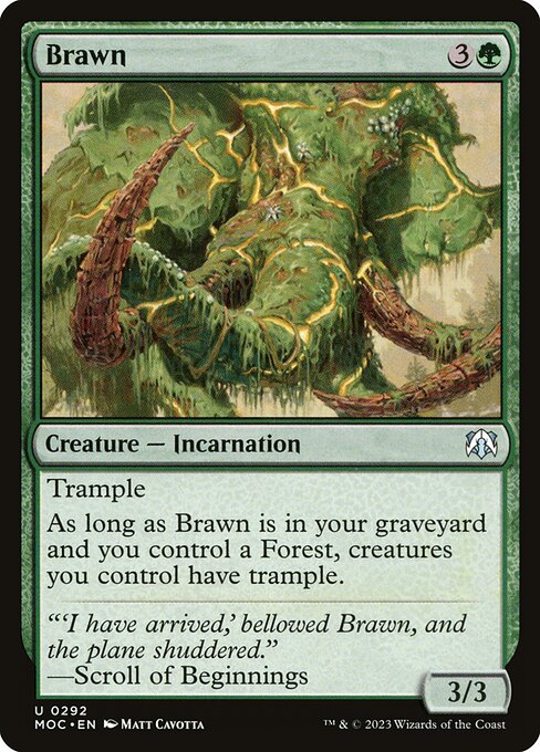 Brawn 292