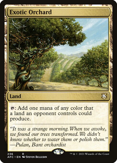 Exotic Orchard 236