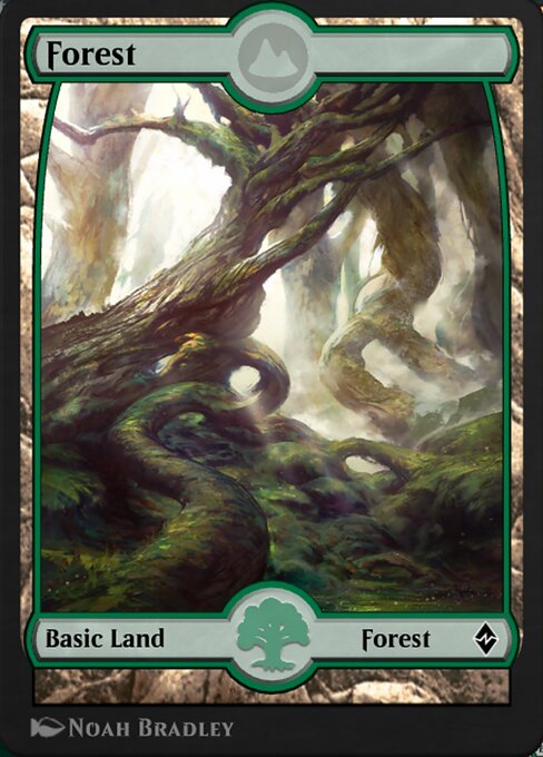 Forest 205