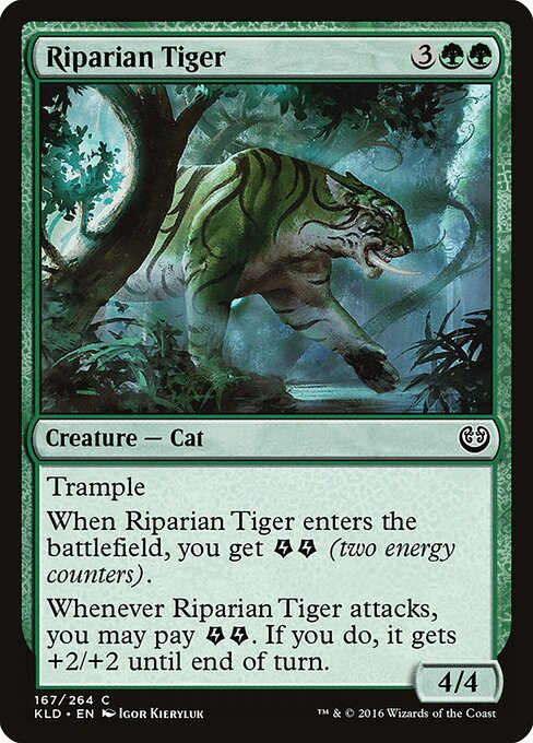 Riparian Tiger 167