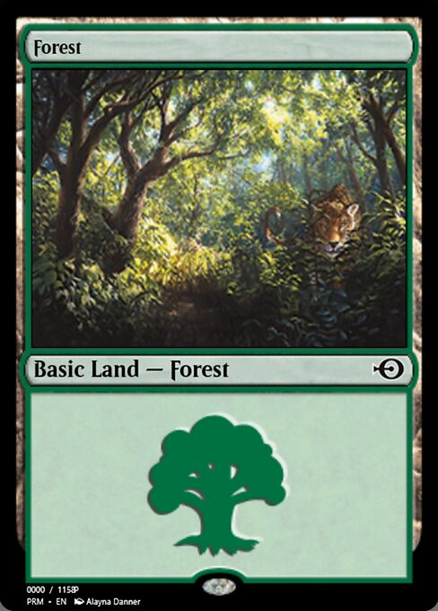 Forest 81876