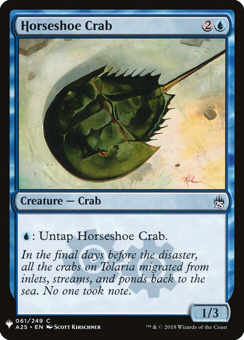 Horseshoe Crab A25-61