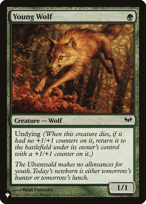 Young Wolf DKA-134