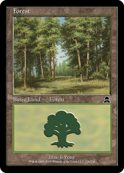 Forest 228