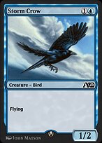 Storm Crow