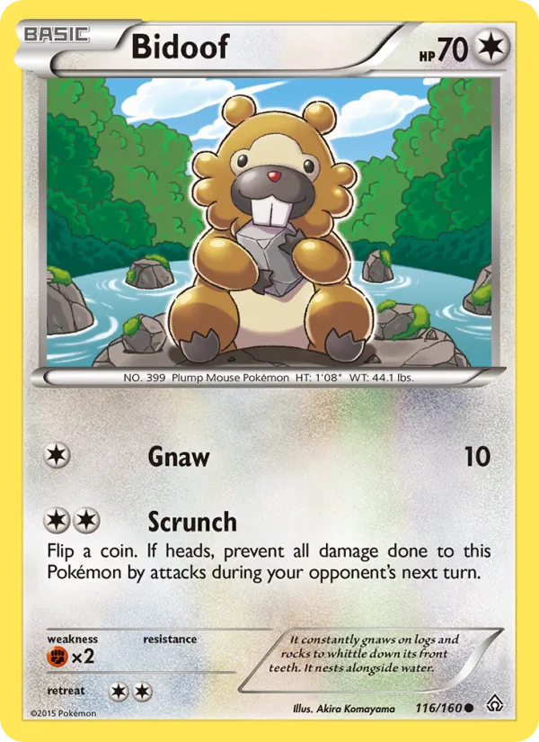 Bidoof 116/160