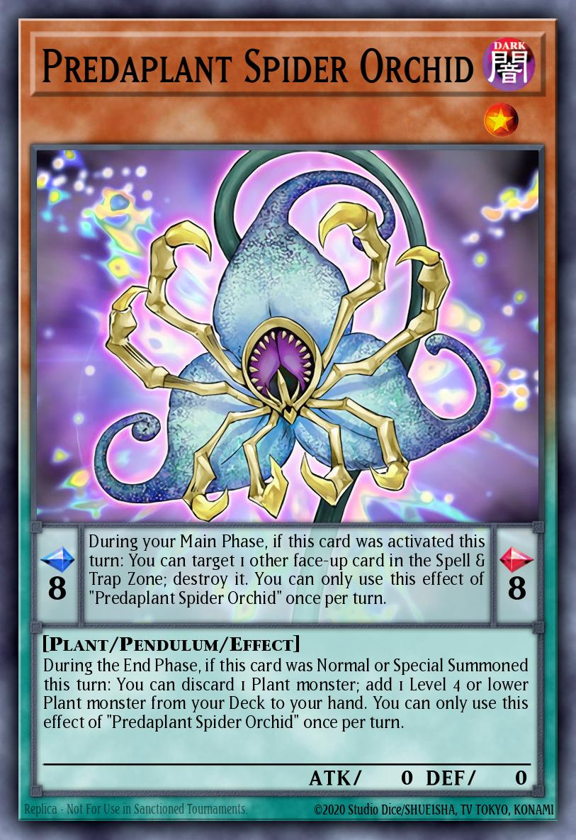 Predaplant Spider Orchid DUPO-EN035
