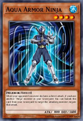 Aqua Armor Ninja